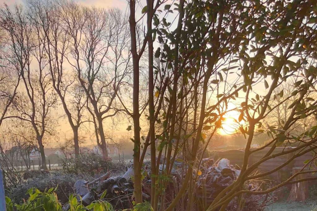 Maison Au Calme Avec Jardin Pres Du Chateau, Foret Et Plage Condette Buitenkant foto