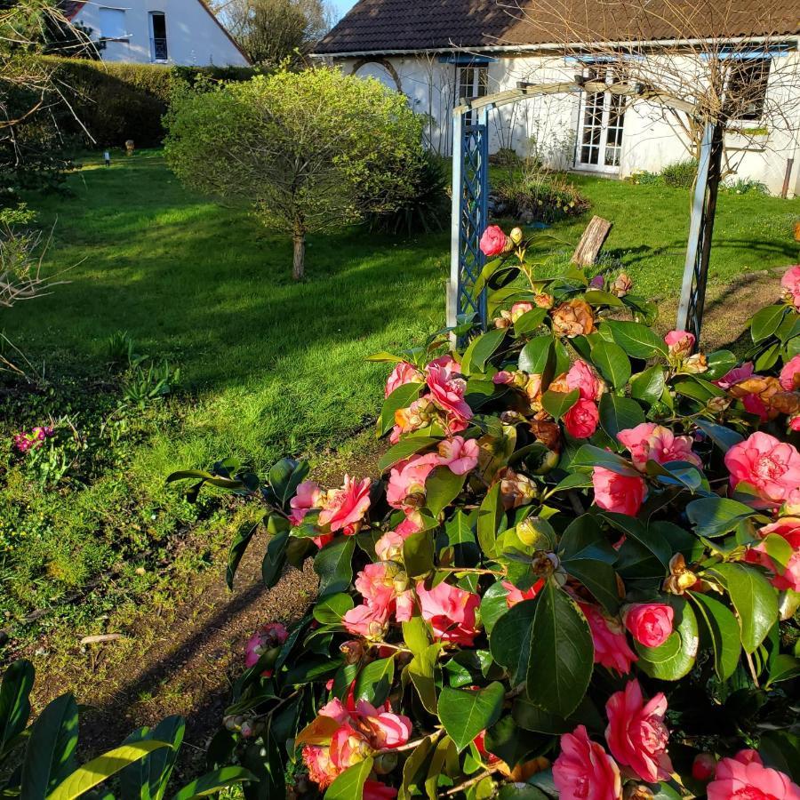Maison Au Calme Avec Jardin Pres Du Chateau, Foret Et Plage Condette Buitenkant foto